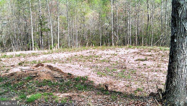 0 Curley Ln, Bumpass, VA 23024 - photo 2