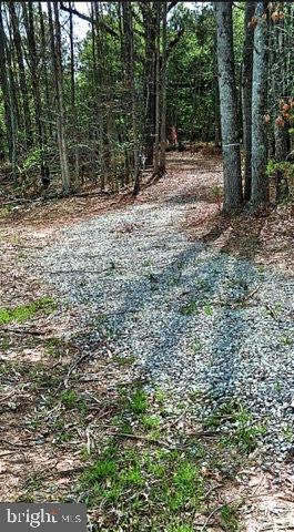 0 Curley Ln, Bumpass, VA 23024 - photo 1