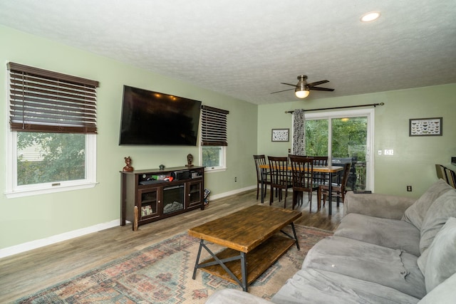 1033 Bridle Ct, Harrisonburg, VA 22801 - living area with ceiling fan, a wealth of natural light, baseboards, and wood finished floors