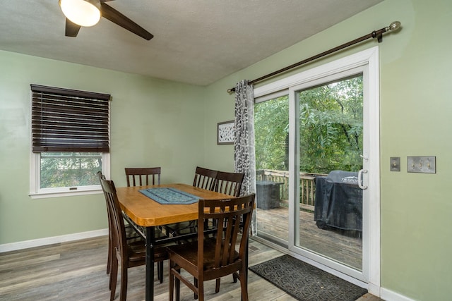 1033 Bridle Ct, Harrisonburg, VA 22801 - dining area with baseboards, ceiling fan, and wood finished floors