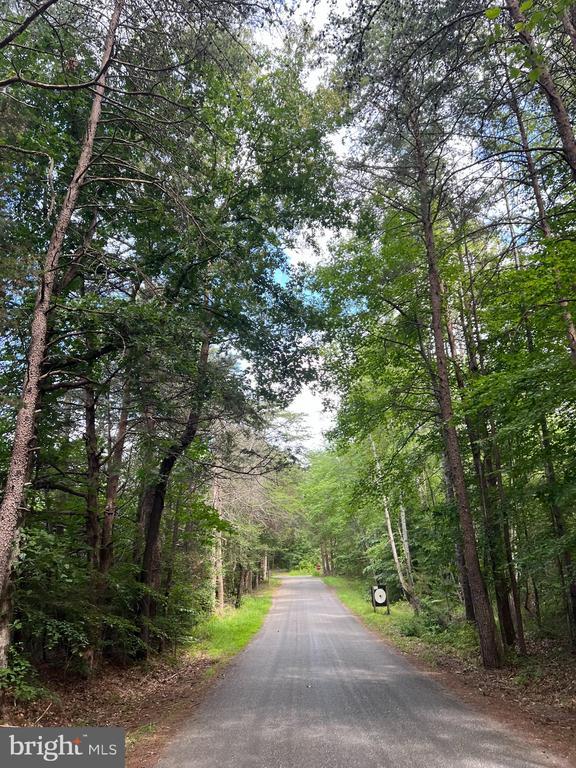 6514 Winston Ln, Spotsylvania, VA 22551 - photo 6