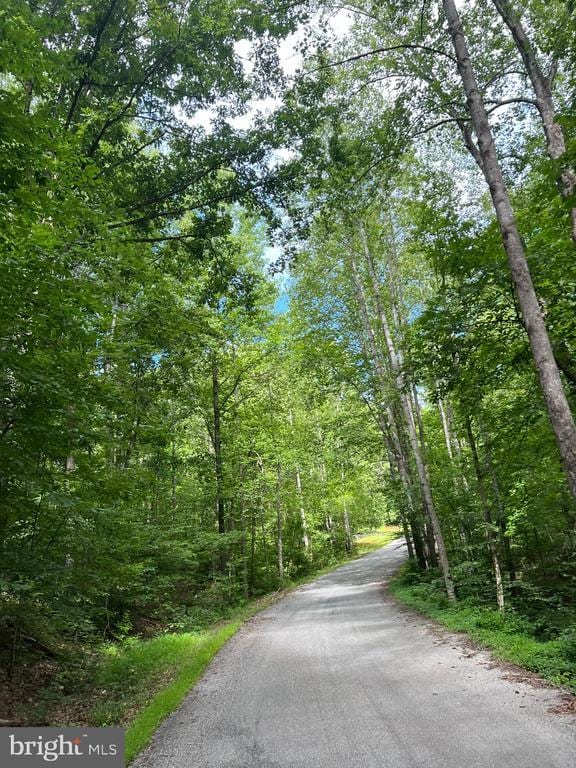 6514 Winston Ln, Spotsylvania, VA 22551 - photo 5