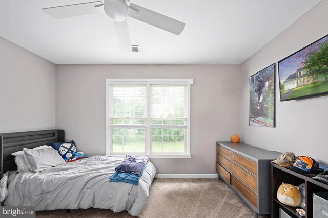 13507 Fox Chase Ln, Spotsylvania, VA 22553 - photo 58
