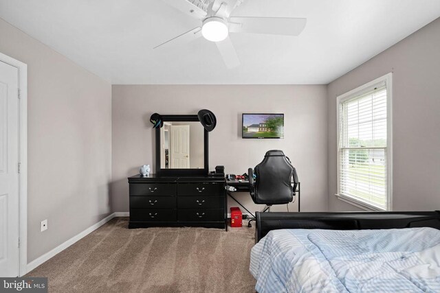 13507 Fox Chase Ln, Spotsylvania, VA 22553 - photo 56