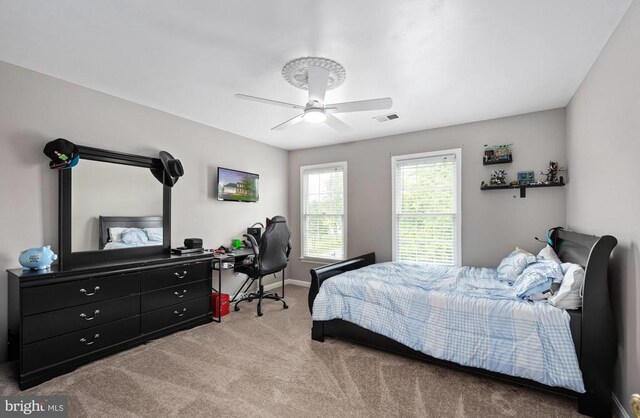 13507 Fox Chase Ln, Spotsylvania, VA 22553 - photo 45