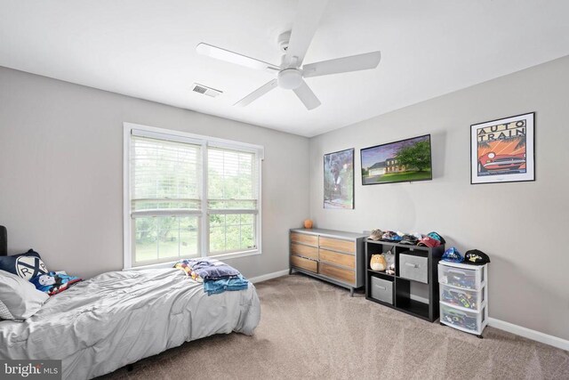 13507 Fox Chase Ln, Spotsylvania, VA 22553 - photo 59