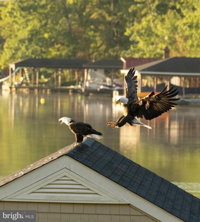 299 Sunset Loop, Mineral, VA 23117 - dock area with a water view