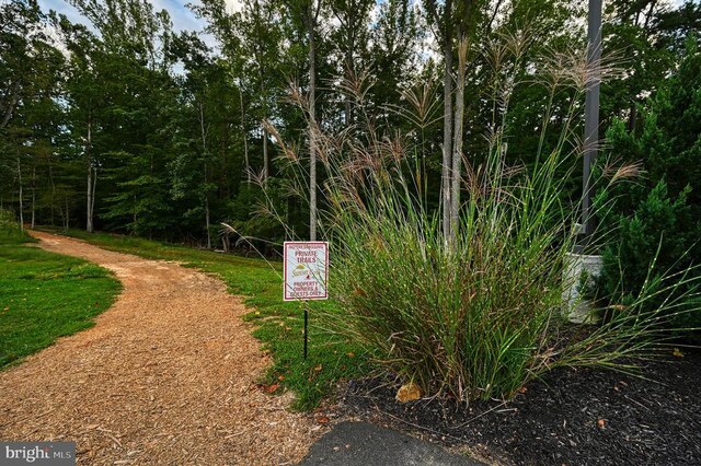 299 Sunset Loop, Mineral, VA 23117 - photo 51