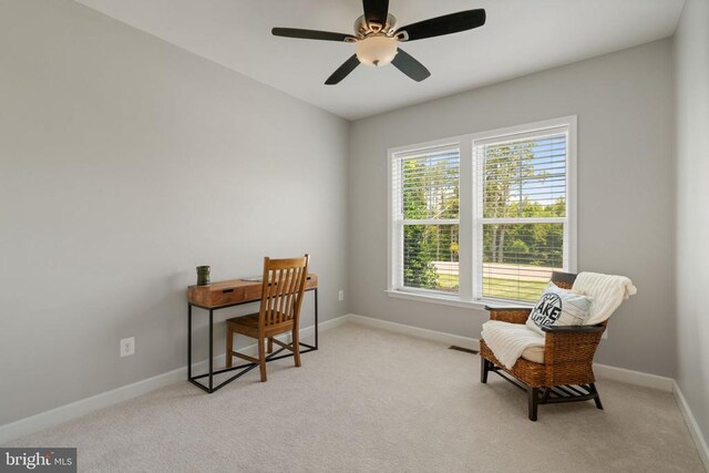 299 Sunset Loop, Mineral, VA 23117 - photo 25