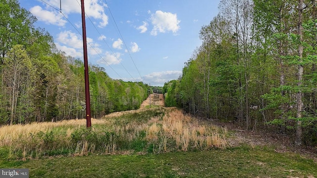 10201 Shawnee Ln, Spotsylvania, VA 22553 - photo 19