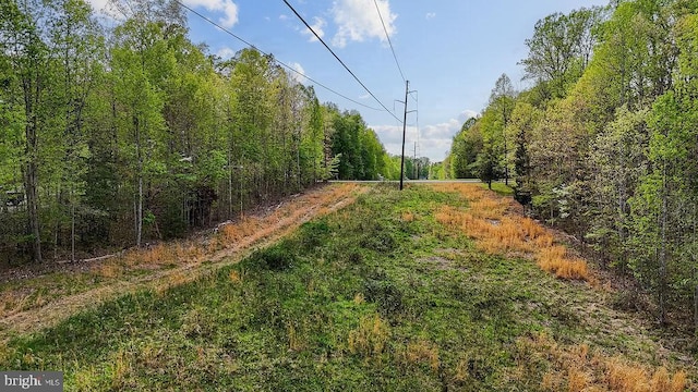 10201 Shawnee Ln, Spotsylvania, VA 22553 - photo 16