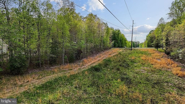 10201 Shawnee Ln, Spotsylvania, VA 22553 - photo 17