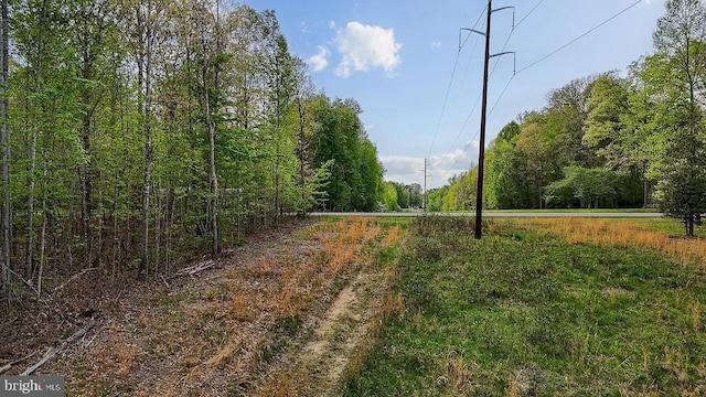 10201 Shawnee Ln, Spotsylvania, VA 22553 - photo 18