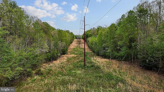 10201 Shawnee Ln, Spotsylvania, VA 22553 - photo 15