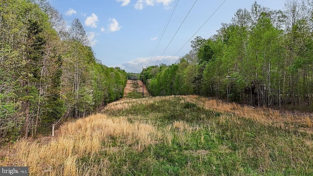 10201 Shawnee Ln, Spotsylvania, VA 22553 - photo 14