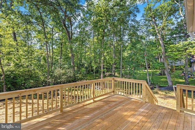 327 Yorktown Blvd, Locust Grove, VA 22508 - photo 19