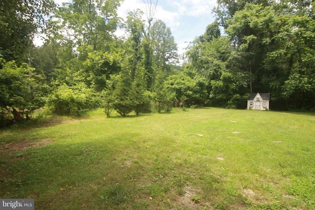  - view of green lawn with a storage unit