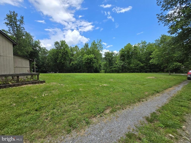  - view of green lawn featuring a forest view