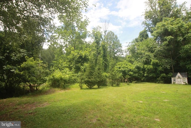  - view of grassy yard with a storage shed