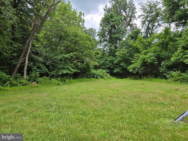  - view of yard with a wooded view