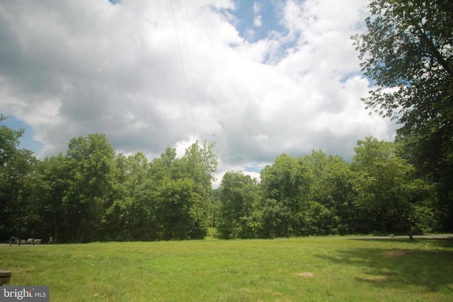  - view of green lawn with a forest view