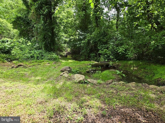  - view of wooded area