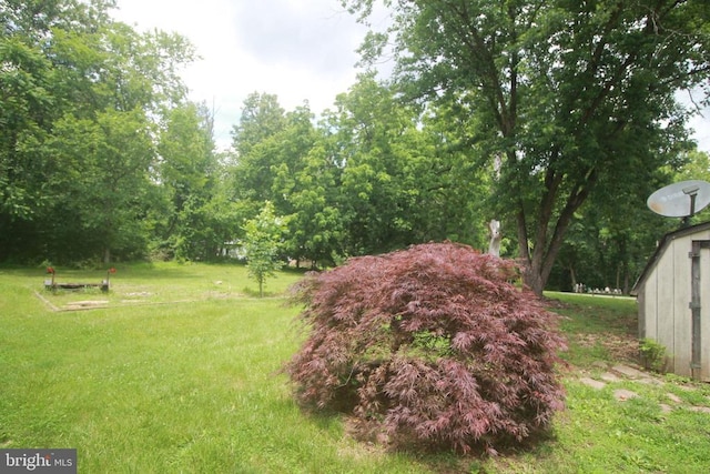 - view of green lawn