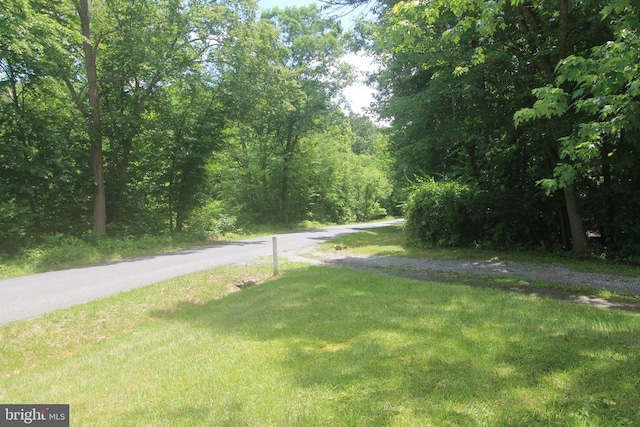  - view of road featuring a forest view