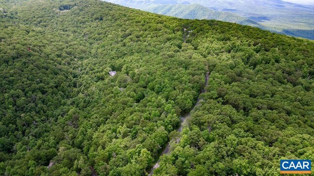 7 Wolftrap Ln, Wintergreen Resort, VA 22967