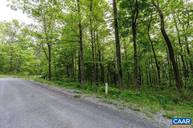 7 Wolftrap Ln, Wintergreen Resort, VA 22967