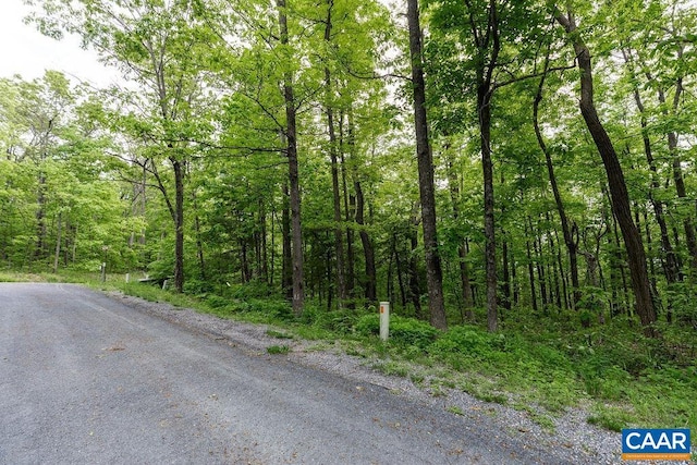 7 Wolftrap Ln, Wintergreen Resort, VA 22967 - photo 3