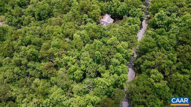 7 Wolftrap Ln, Wintergreen Resort, VA 22967 - photo 30