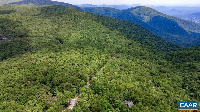 7 Wolftrap Ln, Wintergreen Resort, VA 22967