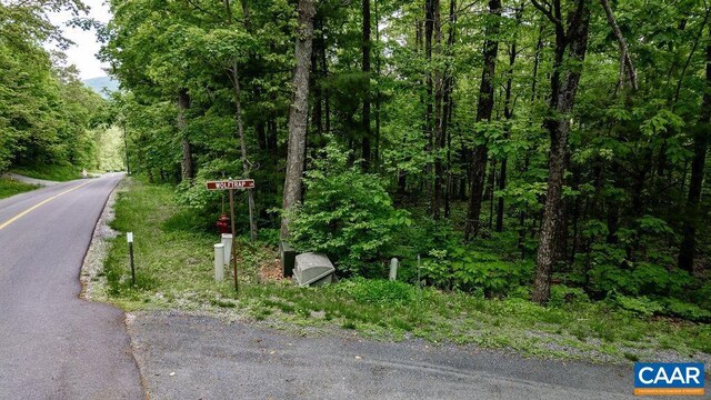 7 Wolftrap Ln, Wintergreen Resort, VA 22967