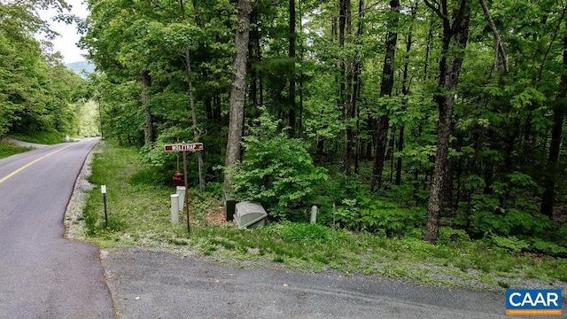 7 Wolftrap Ln, Wintergreen Resort, VA 22967 - photo 37