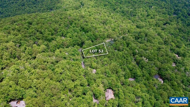 7 Wolftrap Ln, Wintergreen Resort, VA 22967