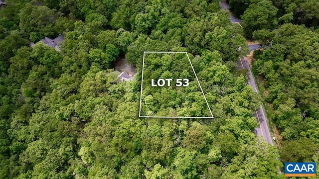 7 Wolftrap Ln, Wintergreen Resort, VA 22967