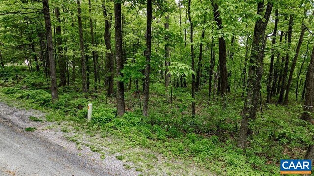 7 Wolftrap Ln, Wintergreen Resort, VA 22967