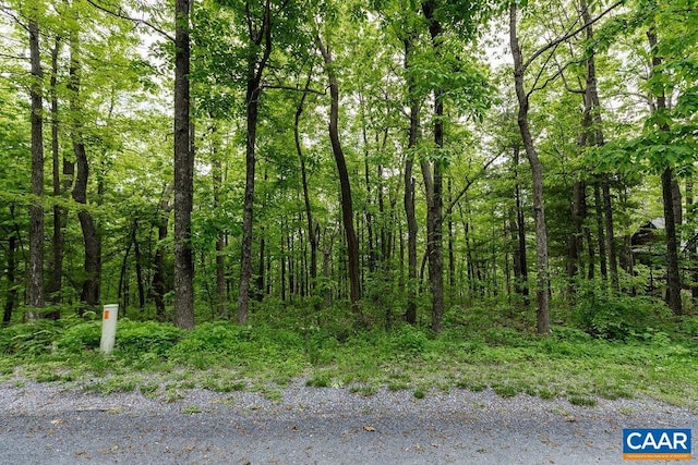7 Wolftrap Ln, Wintergreen Resort, VA 22967 - photo 2