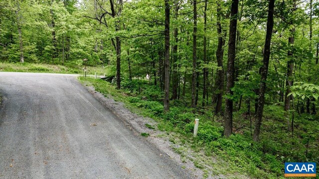 7 Wolftrap Ln, Wintergreen Resort, VA 22967