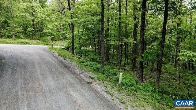 7 Wolftrap Ln, Wintergreen Resort, VA 22967 - photo 36