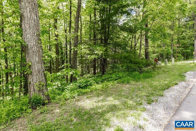 7 Wolftrap Ln, Wintergreen Resort, VA 22967