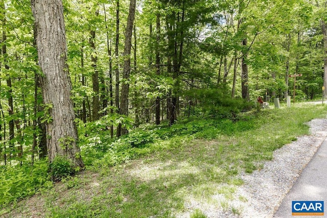 7 Wolftrap Ln, Wintergreen Resort, VA 22967 - photo 9