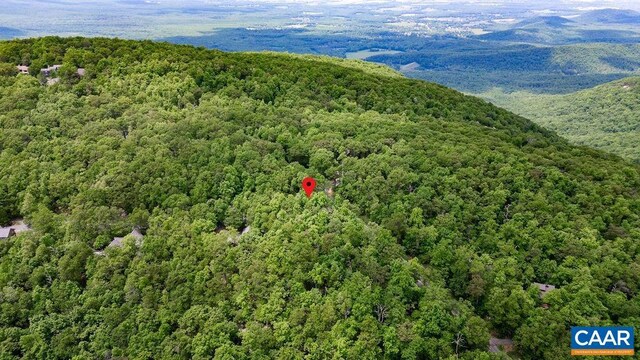 7 Wolftrap Ln, Wintergreen Resort, VA 22967