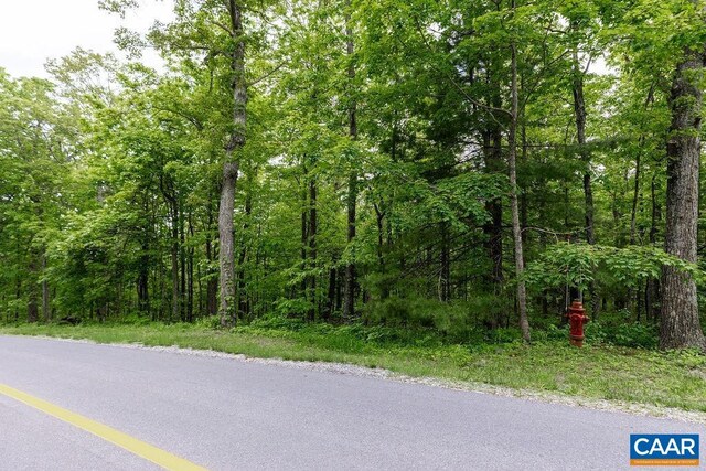 7 Wolftrap Ln, Wintergreen Resort, VA 22967