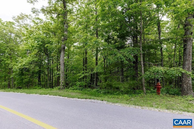 7 Wolftrap Ln, Wintergreen Resort, VA 22967 - photo 7