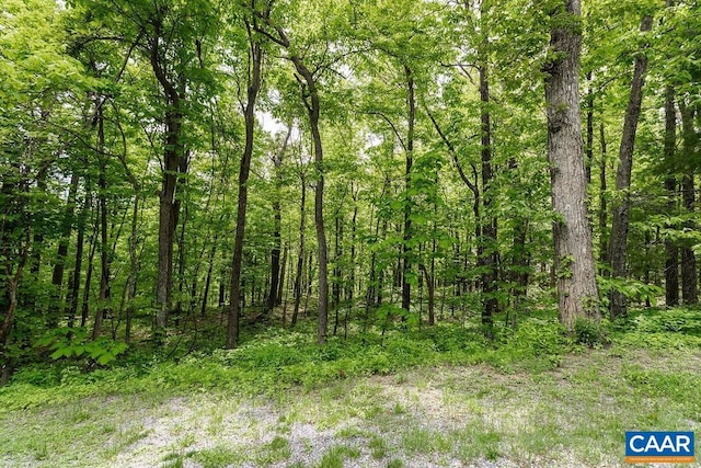 7 Wolftrap Ln, Wintergreen Resort, VA 22967