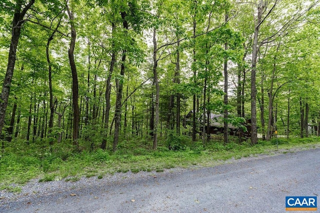 7 Wolftrap Ln, Wintergreen Resort, VA 22967