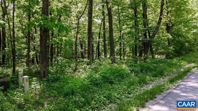 7 Wolftrap Ln, Wintergreen Resort, VA 22967