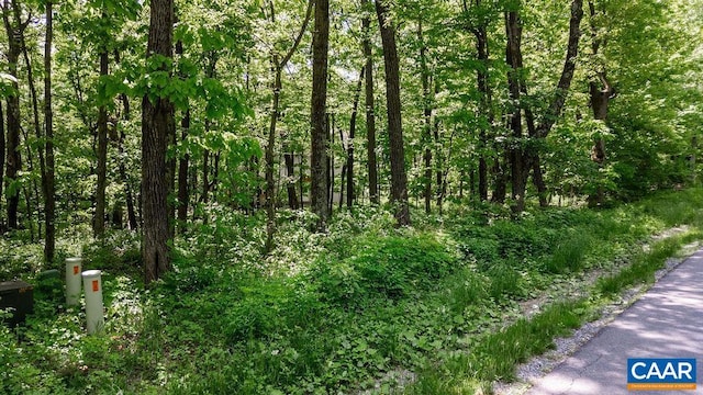 7 Wolftrap Ln, Wintergreen Resort, VA 22967 - photo 14